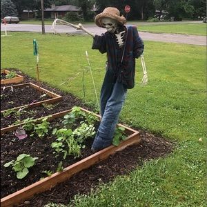 Meet your Posher, Gail